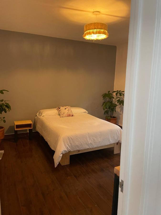 The Reef House Condesa Bed and breakfast *