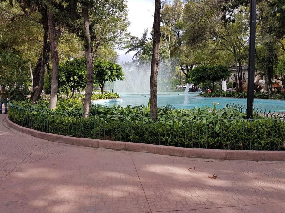 Roma Condesa Apartamento
