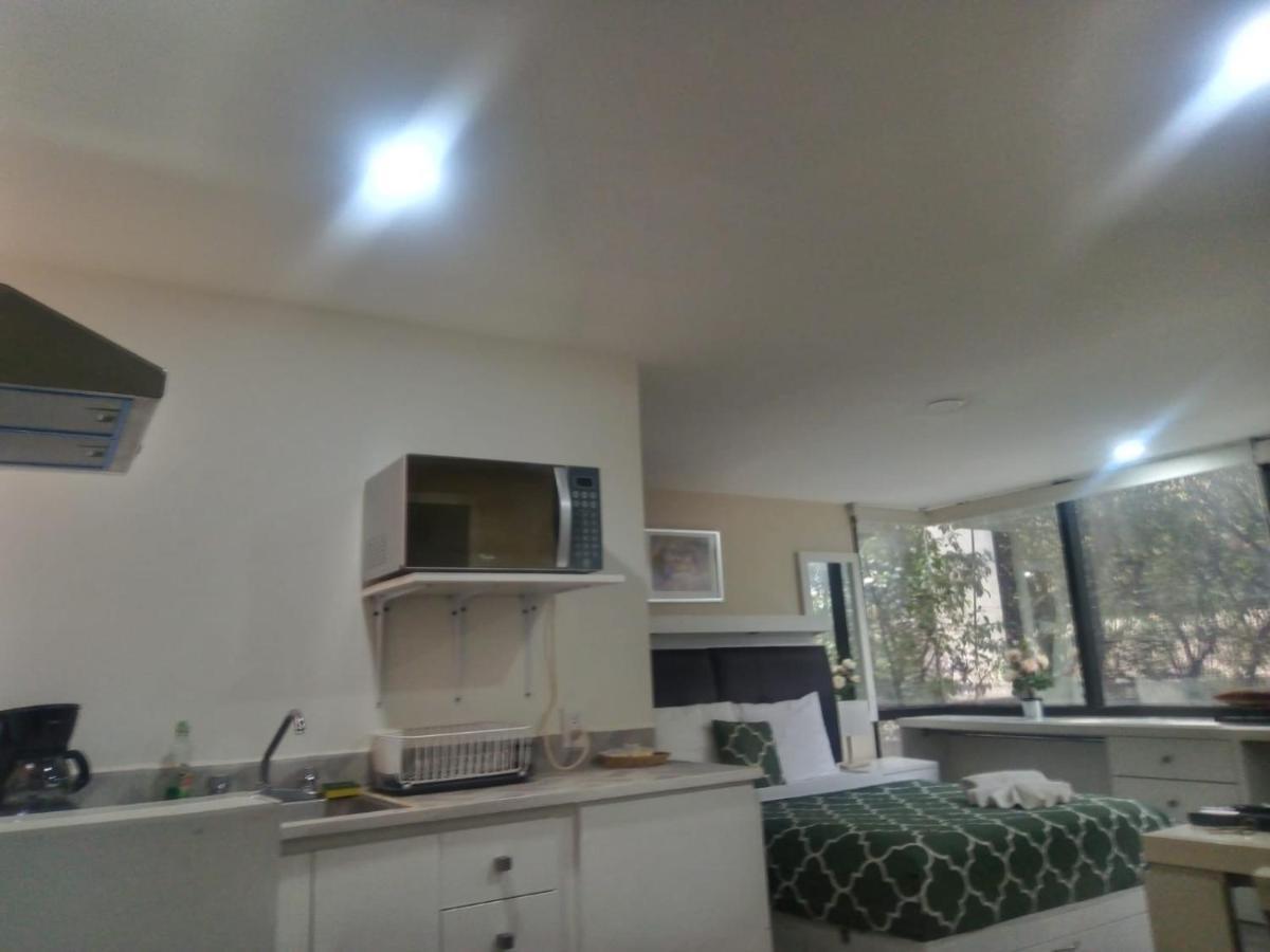Lovely Loft At The Business Heart Of Mexico México DF