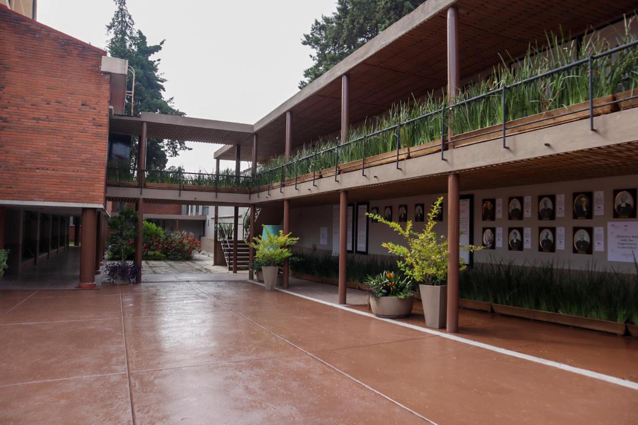 Express Quinta Soledad *