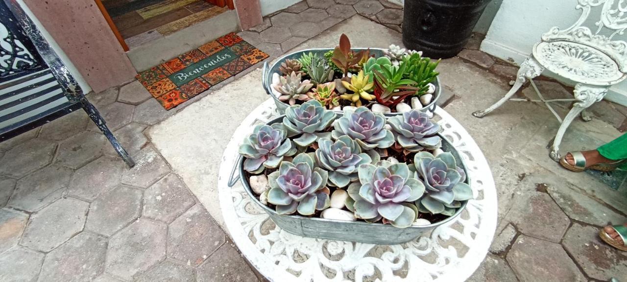 Casa Kalidy Coyoacan Mexico City
