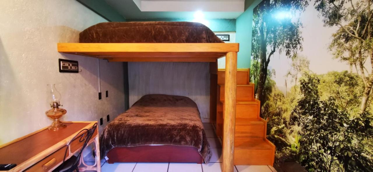 Calle Berlin Boutique Inn Mexico City