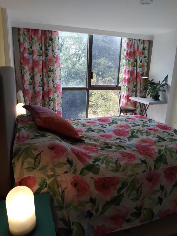 Homestay Charming Sunny Bedroom Overlooking Beautiful Amsterdam Avenue In Condesa Area