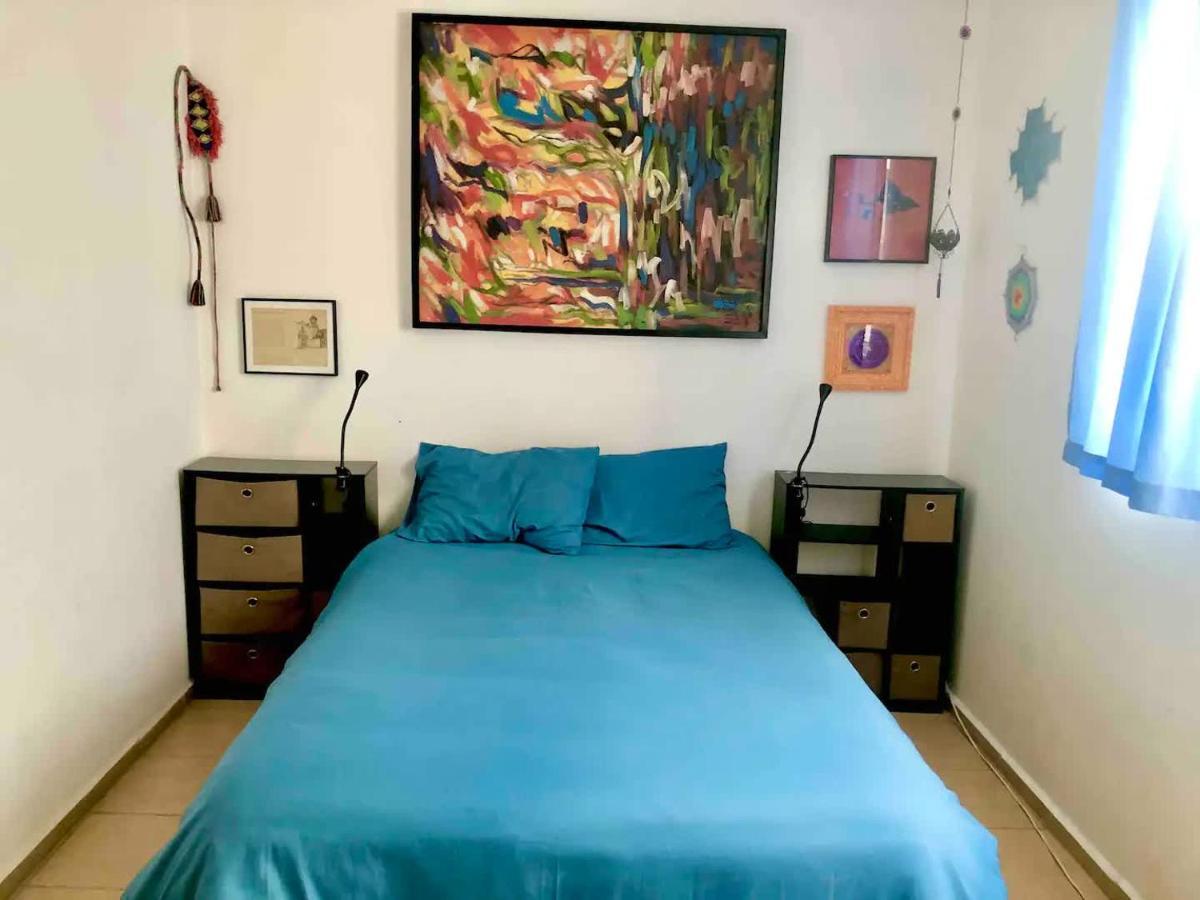 Cozy & Full In Coyoacan Great For Long Apartamento