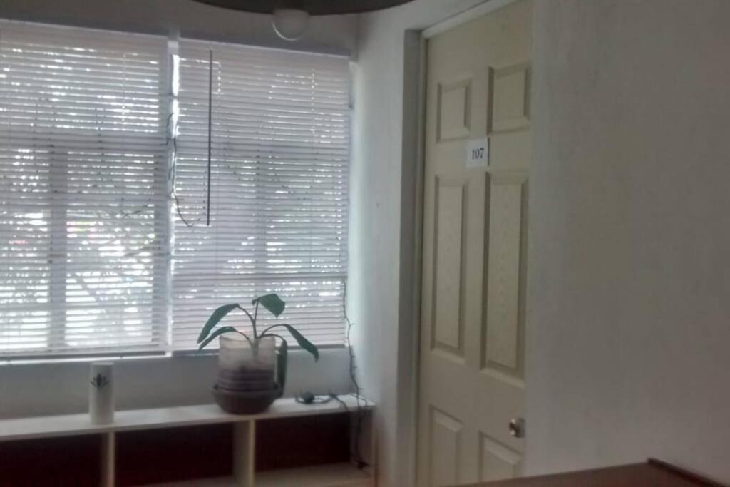 Oficinas A 5 Minutos Foro Sol Palacio Deportes Aeropuerto Mochileros Backpackers Hotel cápsula *
