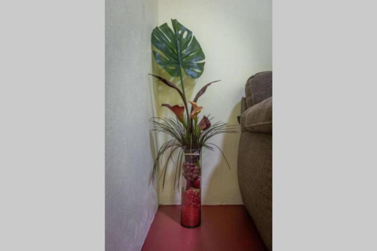 Loft Latinos Apartamento