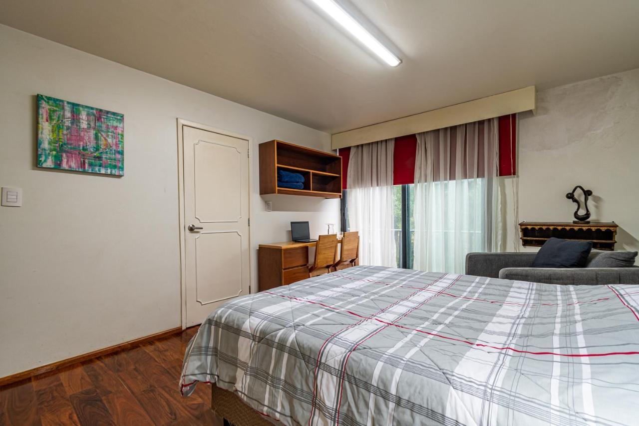 Terraza & Loft San Angel Homestay *