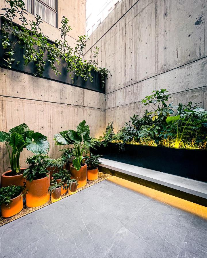 Apartment Ana Polanco *