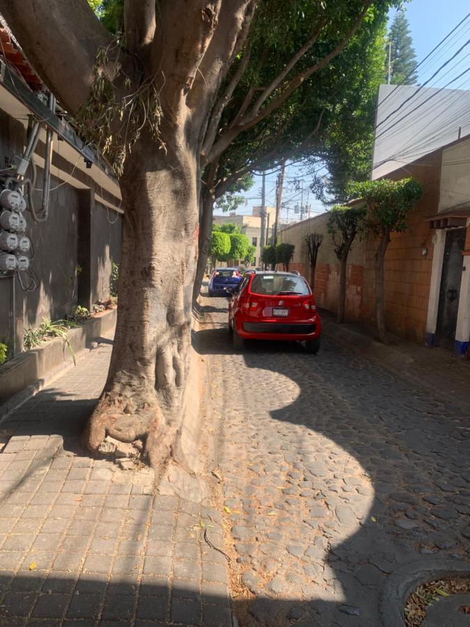 Coyoacan Magico México DF