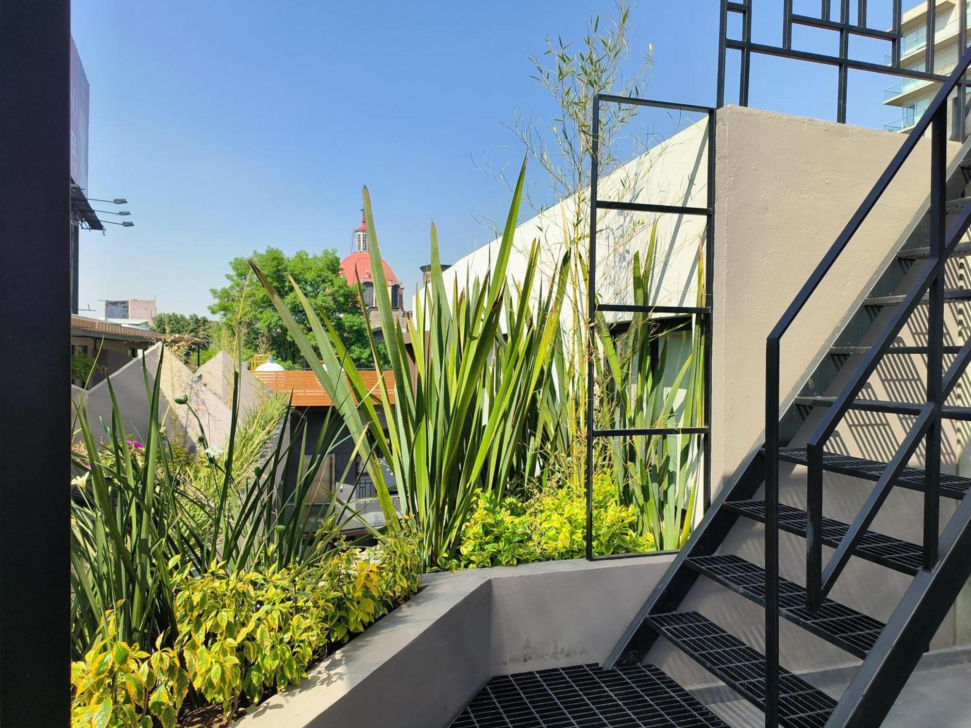 Flats Friends Condesa-pelotari