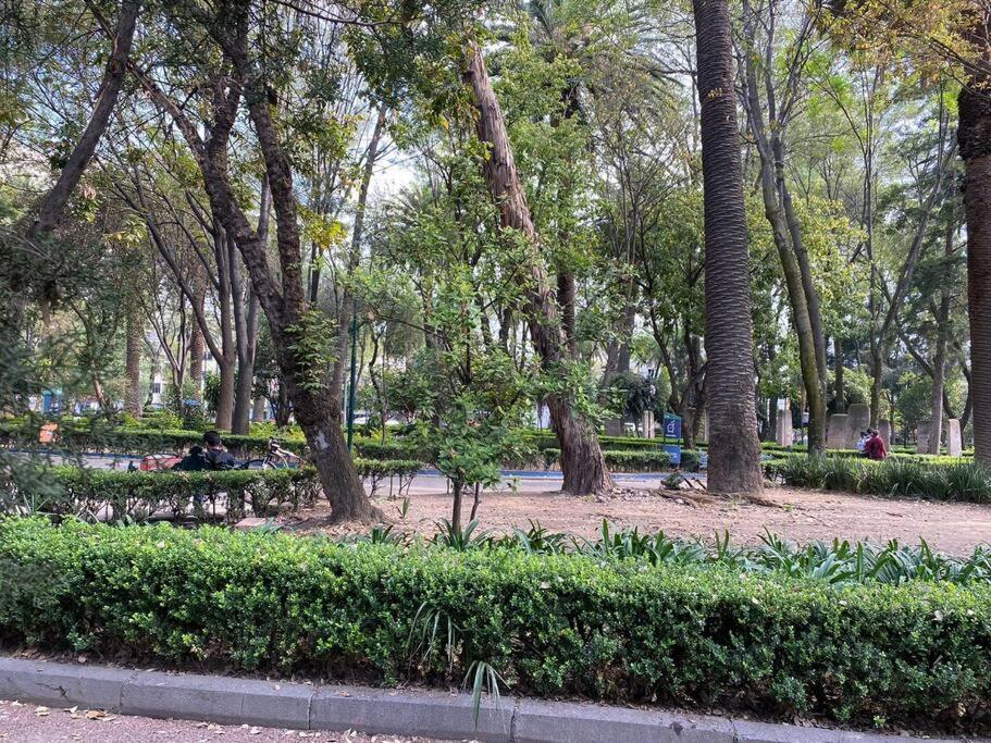 Apartamento Narvarte Park *