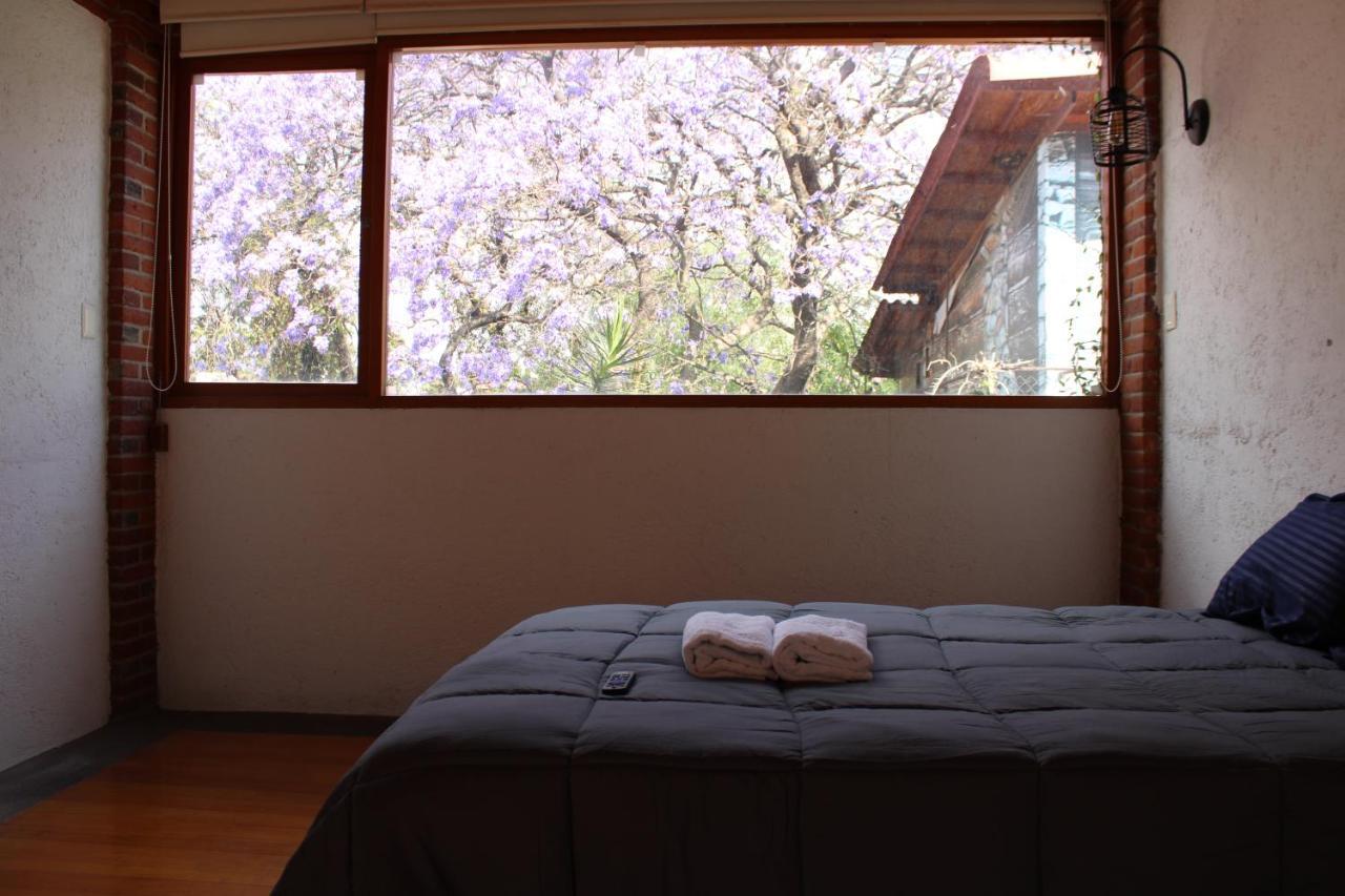 Casa Frida Coyoacan Acomodação com café da manhã  *