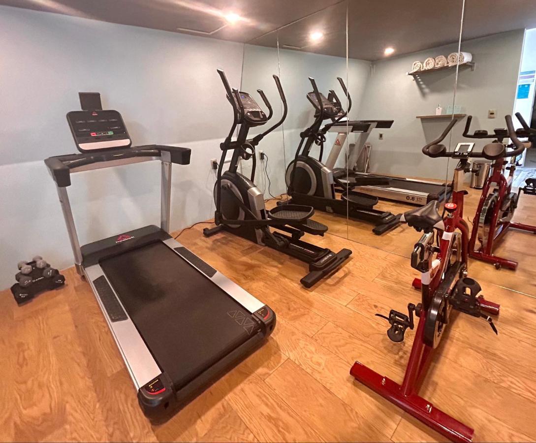 Hotel Cle Reforma Insurgentes Mexico City