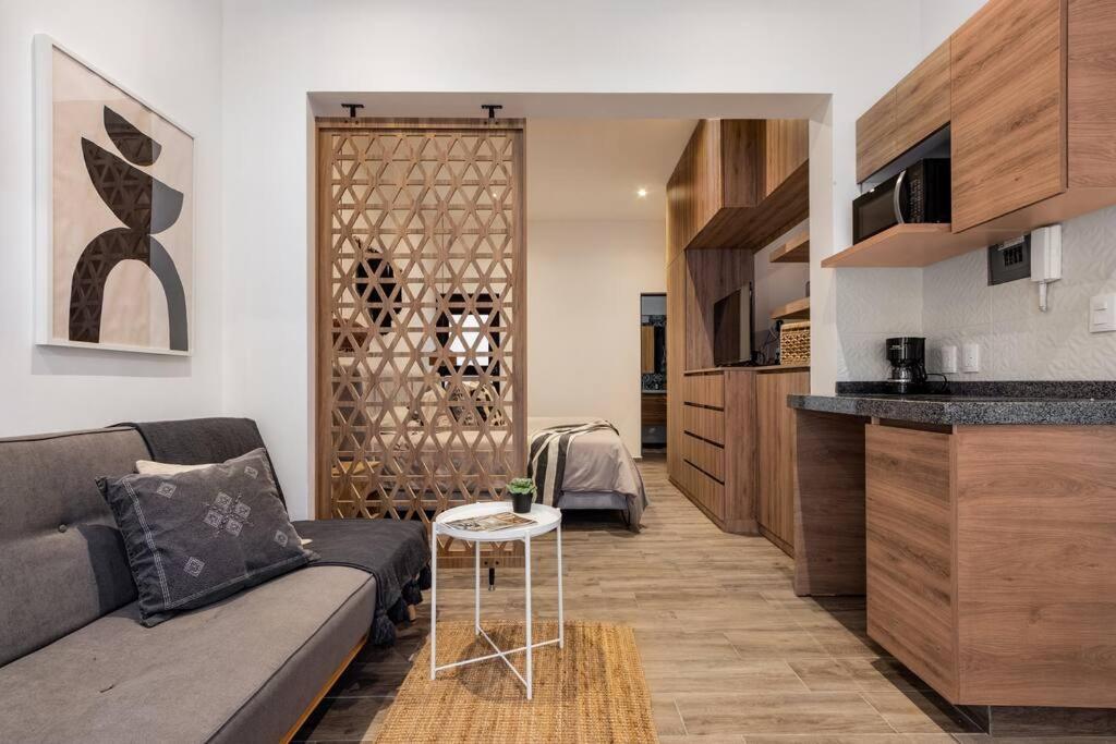 Apartamento Loft Con Patio, Roof Garden En La Roma *