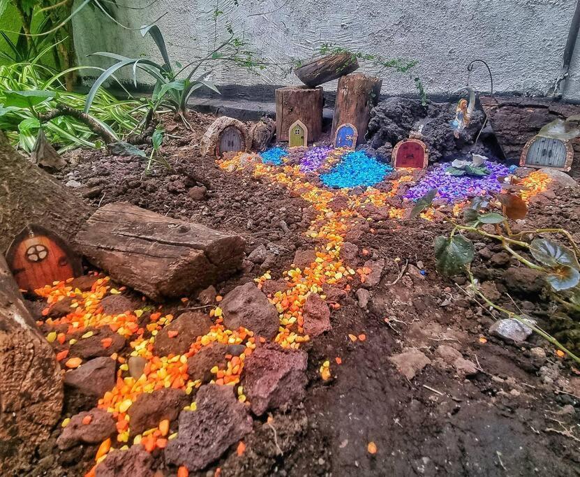El Rincon De La Escandon *