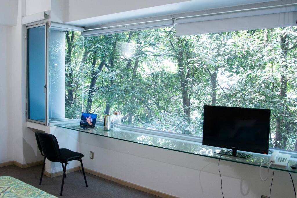 Apartamento Loft Con Alberca, Gym Dowtown *
