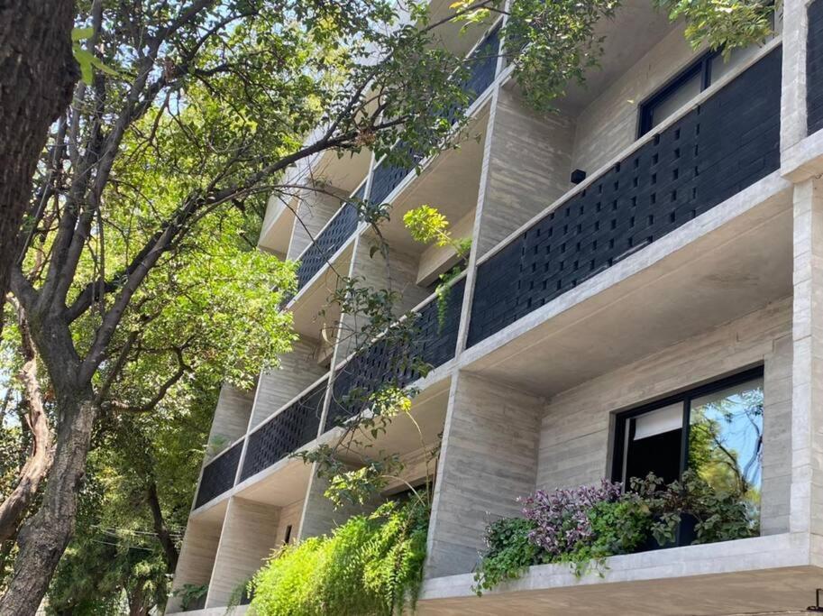 Cautivador Espacio En La Roma Apartment Mexico City