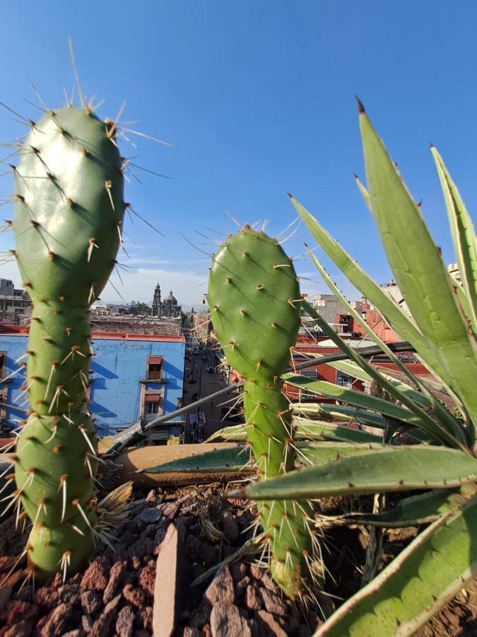 Casa Sabina Down Town Mexico Pensión