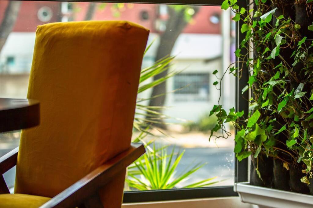 Departamento Loft - Roma Norte Cdmx * México DF