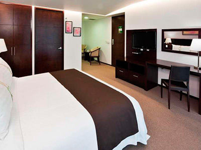 Hotel&suites Medica Sur, An Ihg 4* México DF