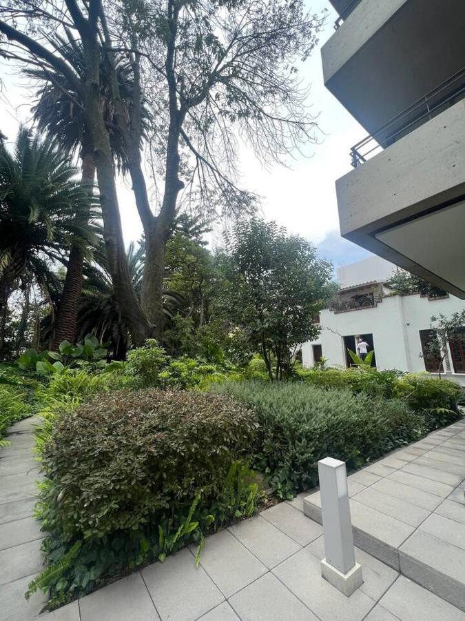 Nest House Condesa Apartamento *
