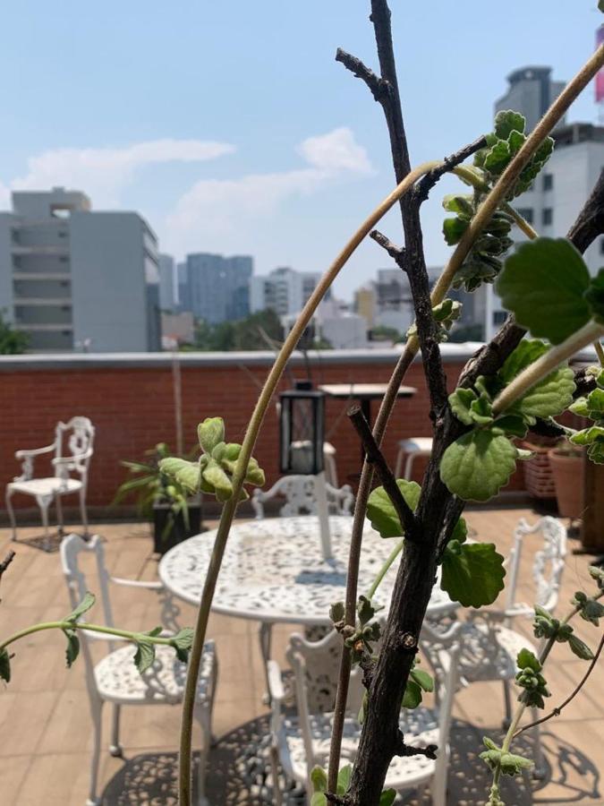 Condominio Lugano Bed & Breakfast Mexico City