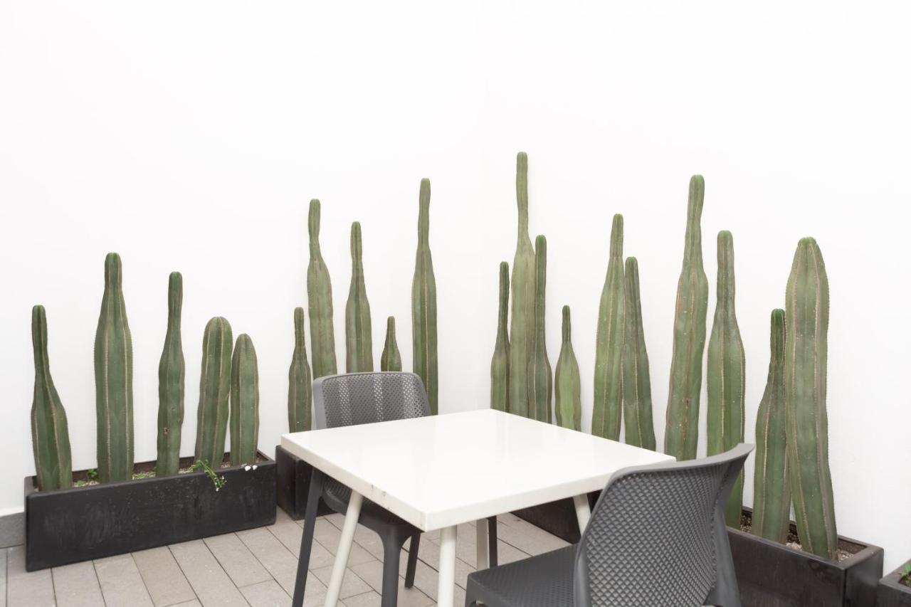 Wynwood House Platon * Mexico City