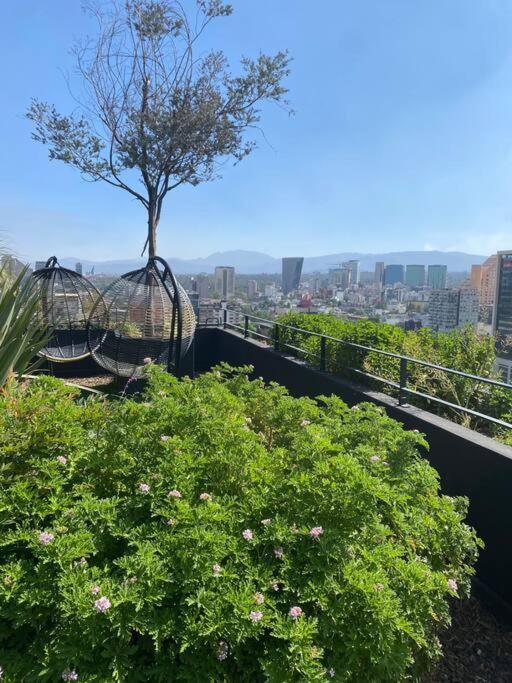 Apartamento Luxury Loft In Polanco Area!