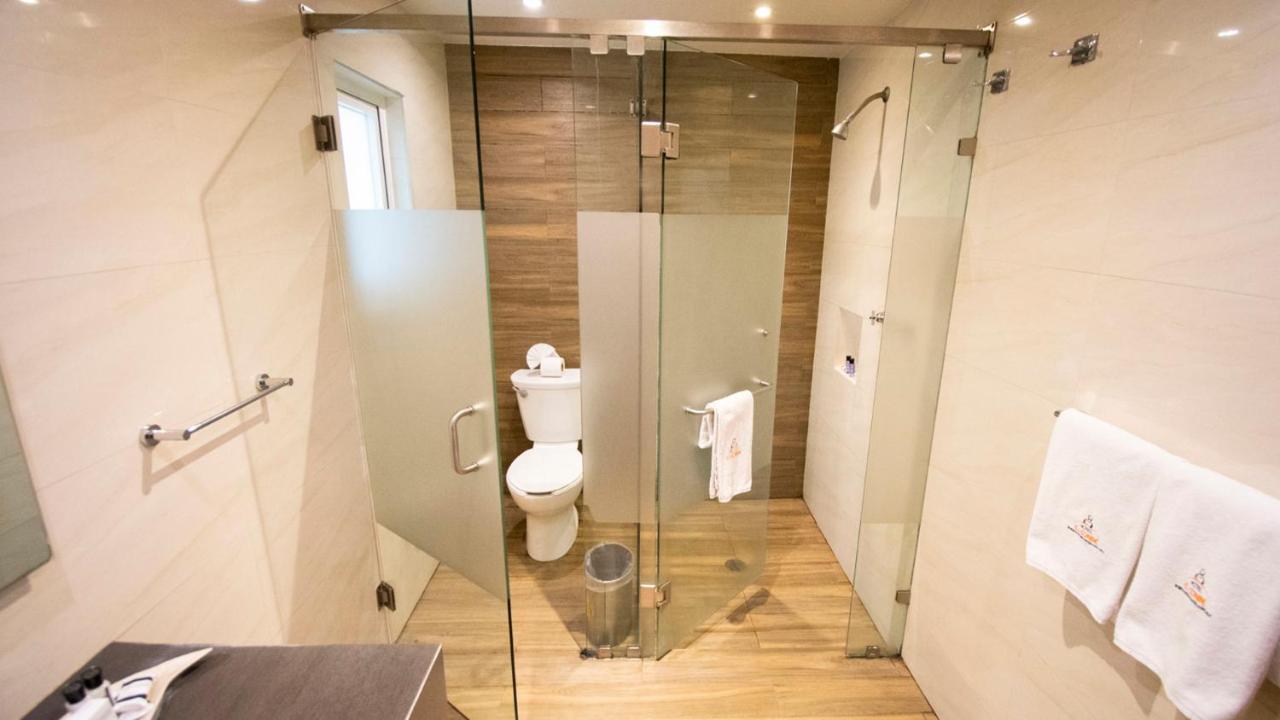 El Conde Naucalpan Only Adults 3*