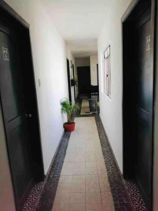 Homestay A1 Pequena En Condesa Amsterdam