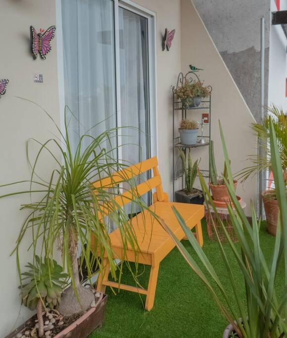 Habitacion En Rooftop Privado * Mexico City