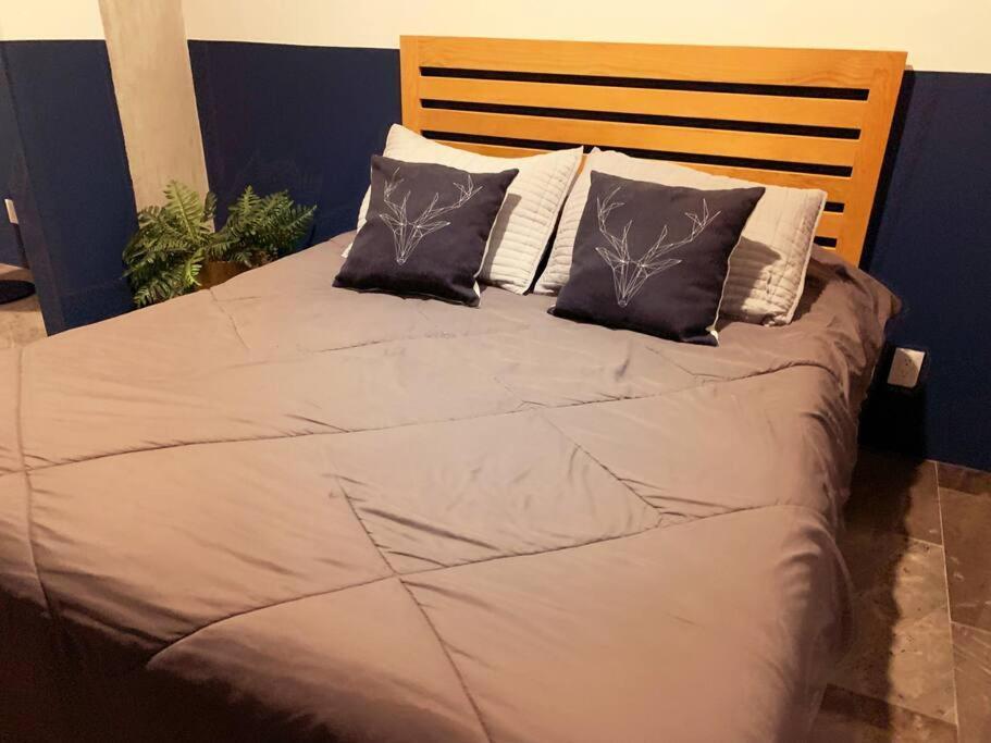 P2-amplio Depa 9 Personas Reforma, El Angel, Cas Embajada Apartamento *