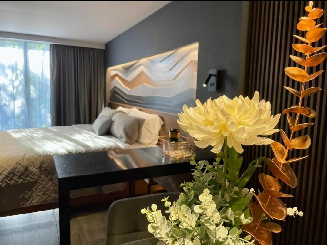 Mine Aparthotel Mexico City