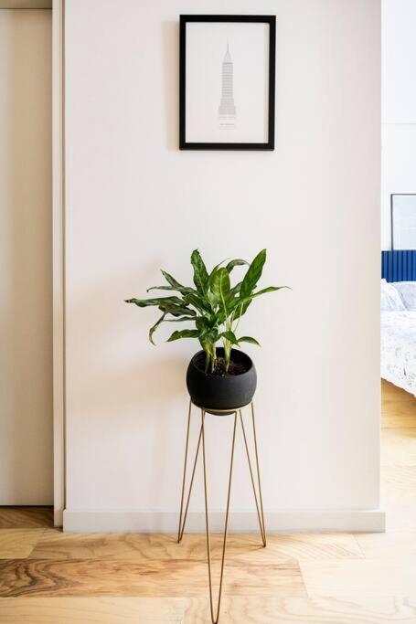 A Hip Modern Gem In El Centro! Apartamento