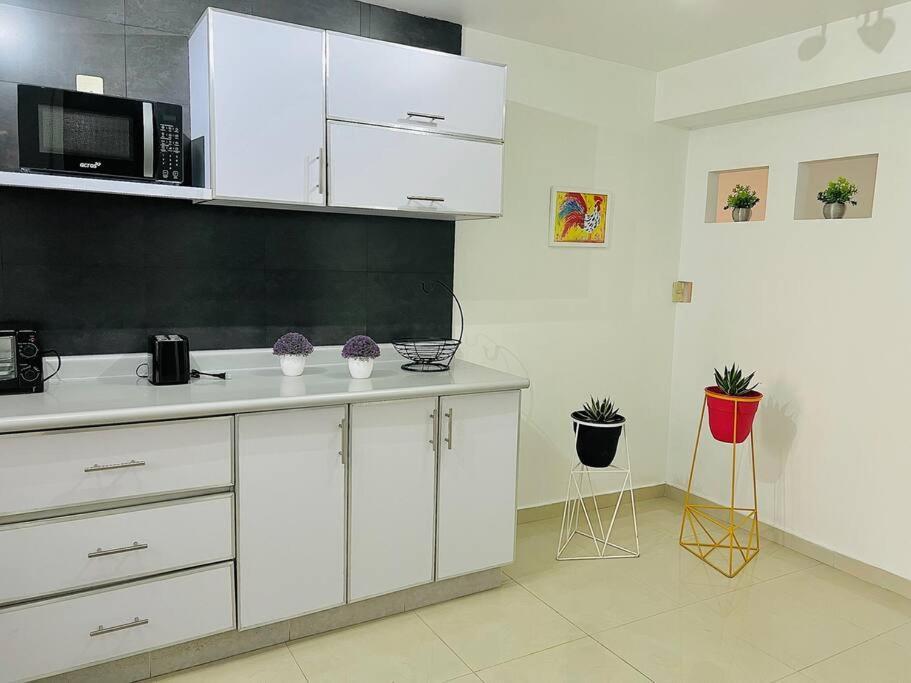 Th Lindo Departamento En Calle Tehuantepec Roma Mexico City