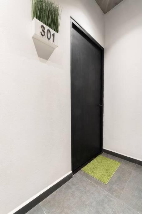 P301 2bdrm 2bath Ac Private Balcony Rooftop Apartment *