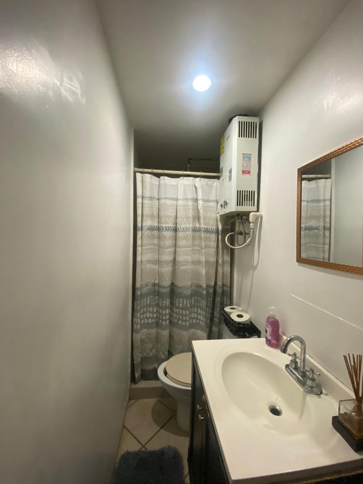 Loft Coyoacan *