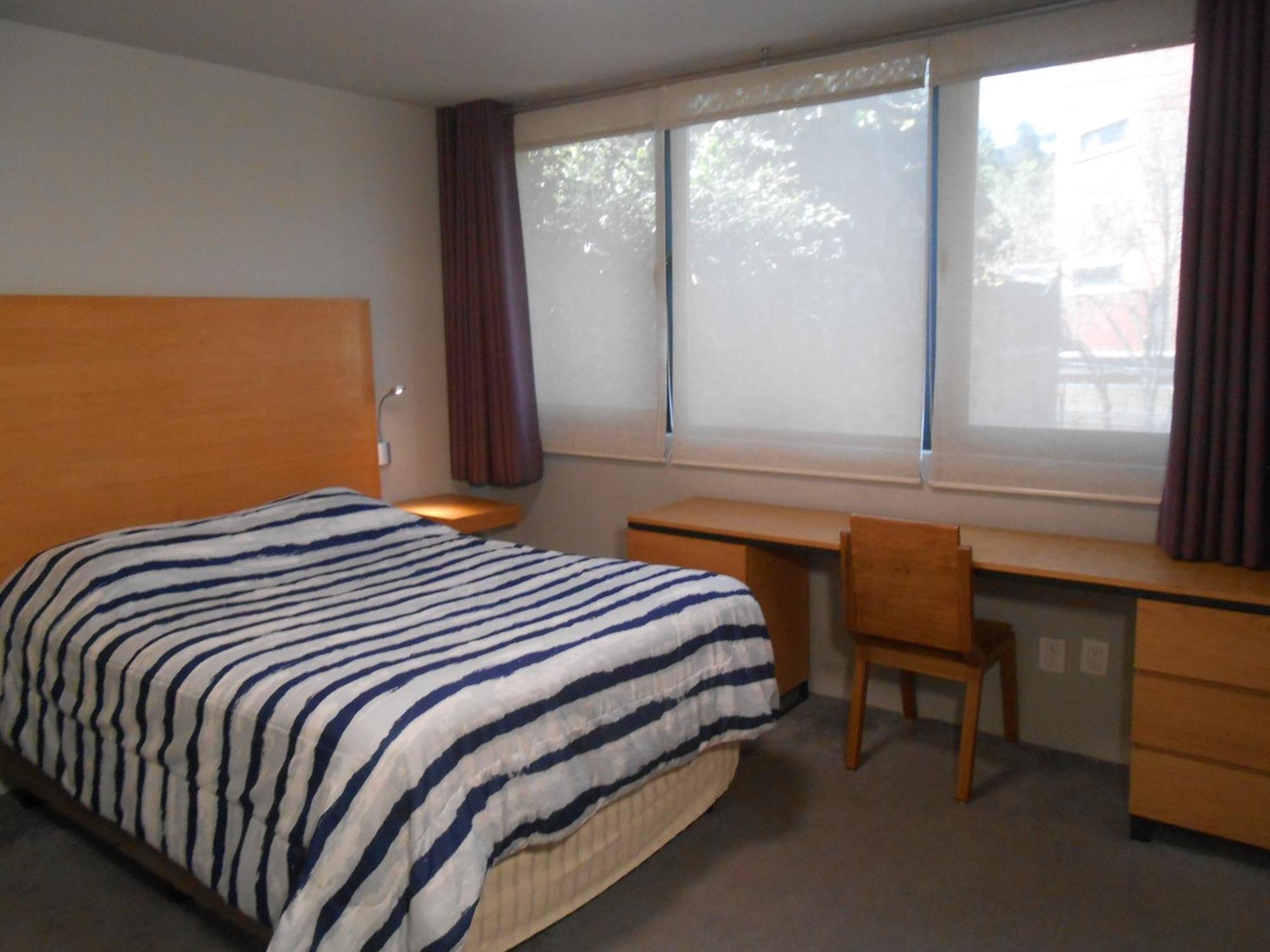 Terraza & Loft San Angel Homestay *