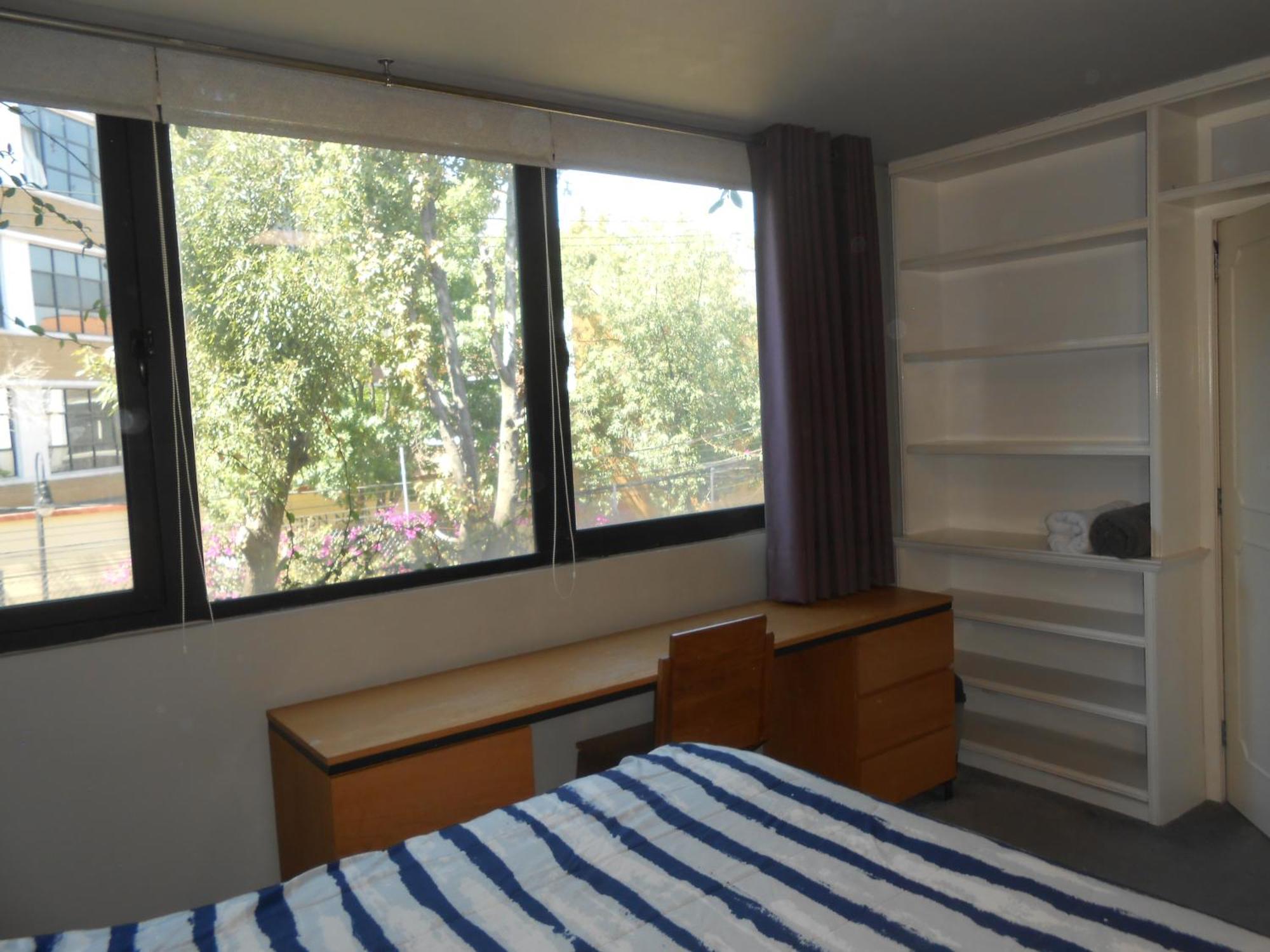 Terraza & Loft San Angel Homestay