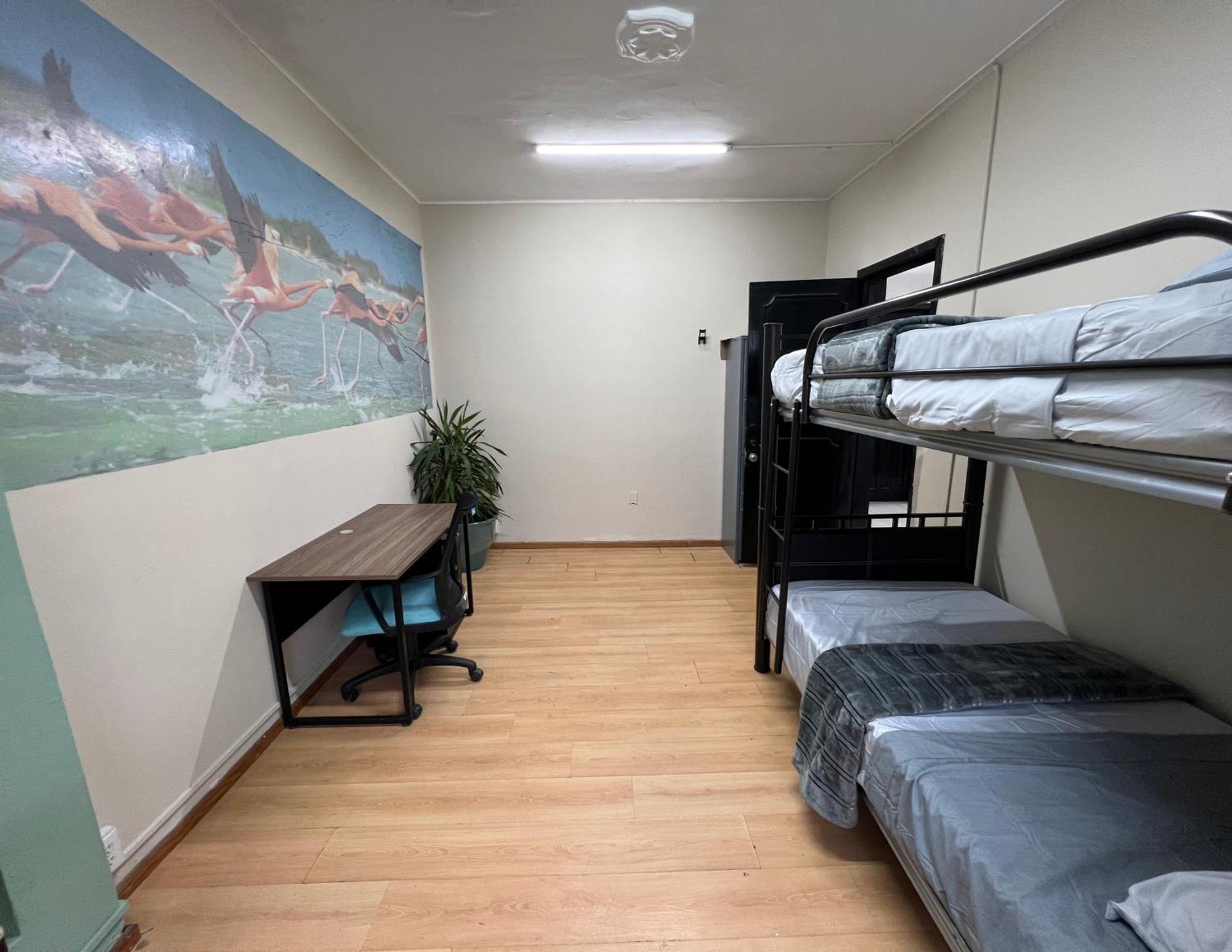 Casa de hóspedes Mexico City Guesthouse