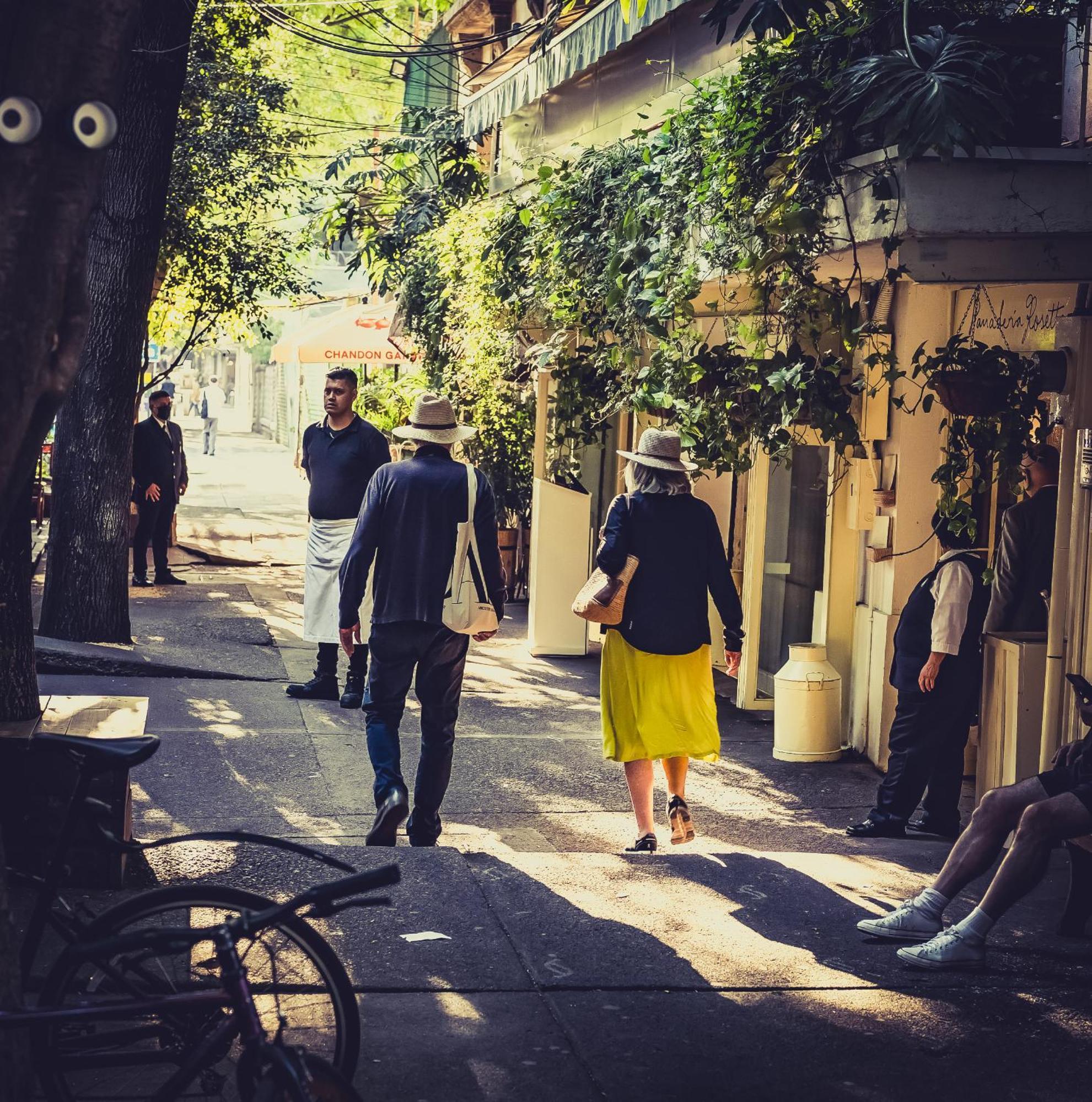 Apartment Casa Azul Roma Not Just A Vacation It'S An Experience! Mexico City