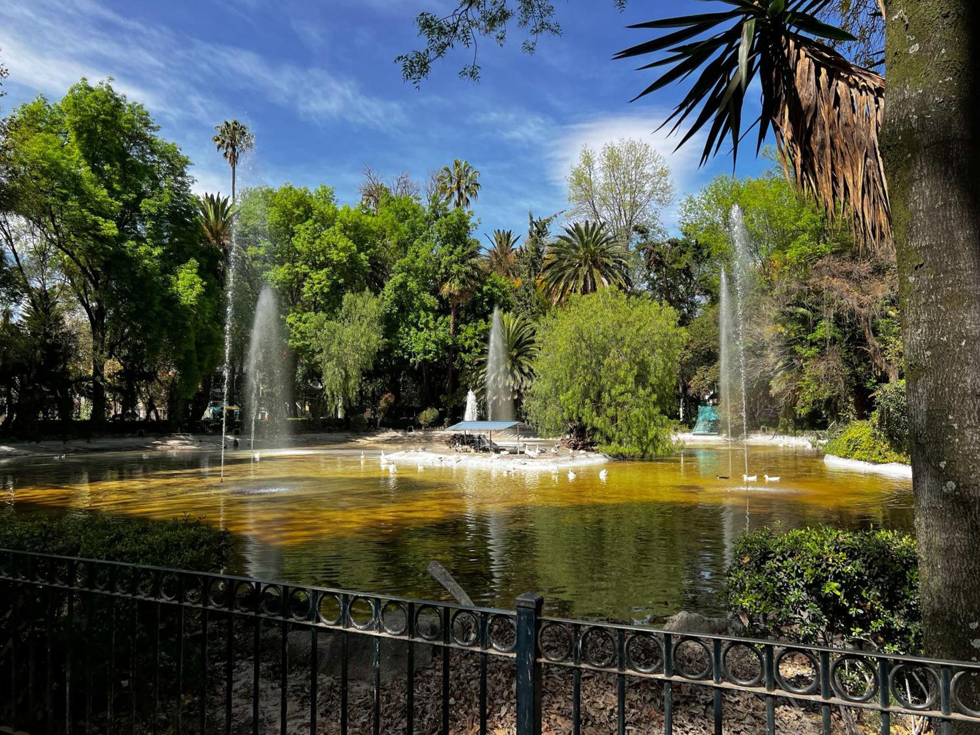 Discover Condesa Ideal Location Pensión