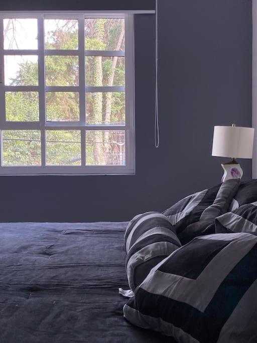 Apartamento Condesa Altata *