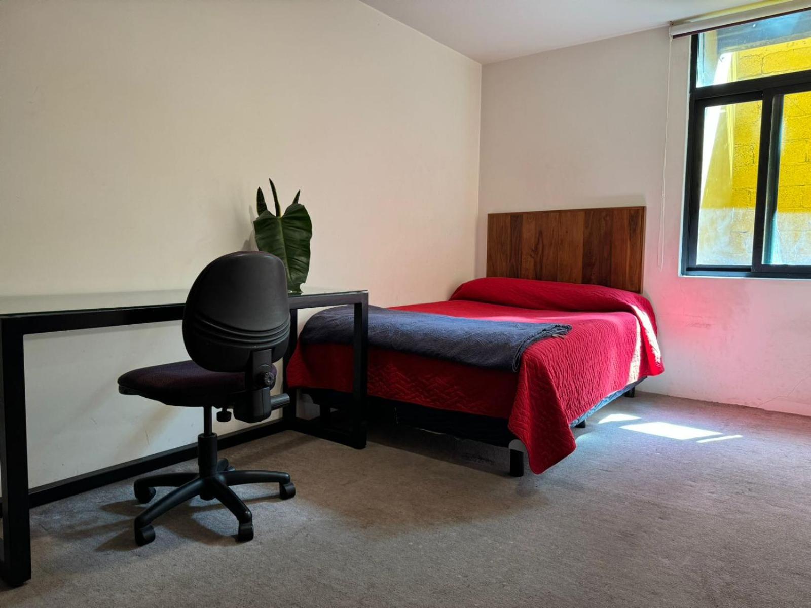 Hospedagem domiciliar Terraza & Loft San Angel Cidade do México