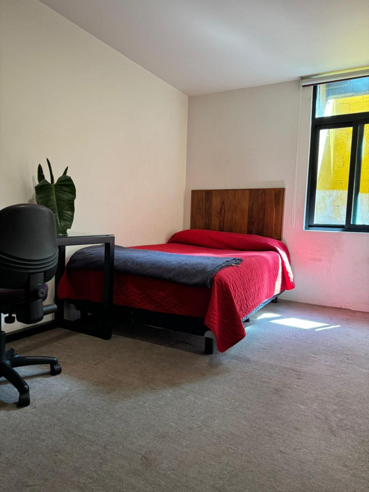 Terraza & Loft San Angel Homestay Mexico City