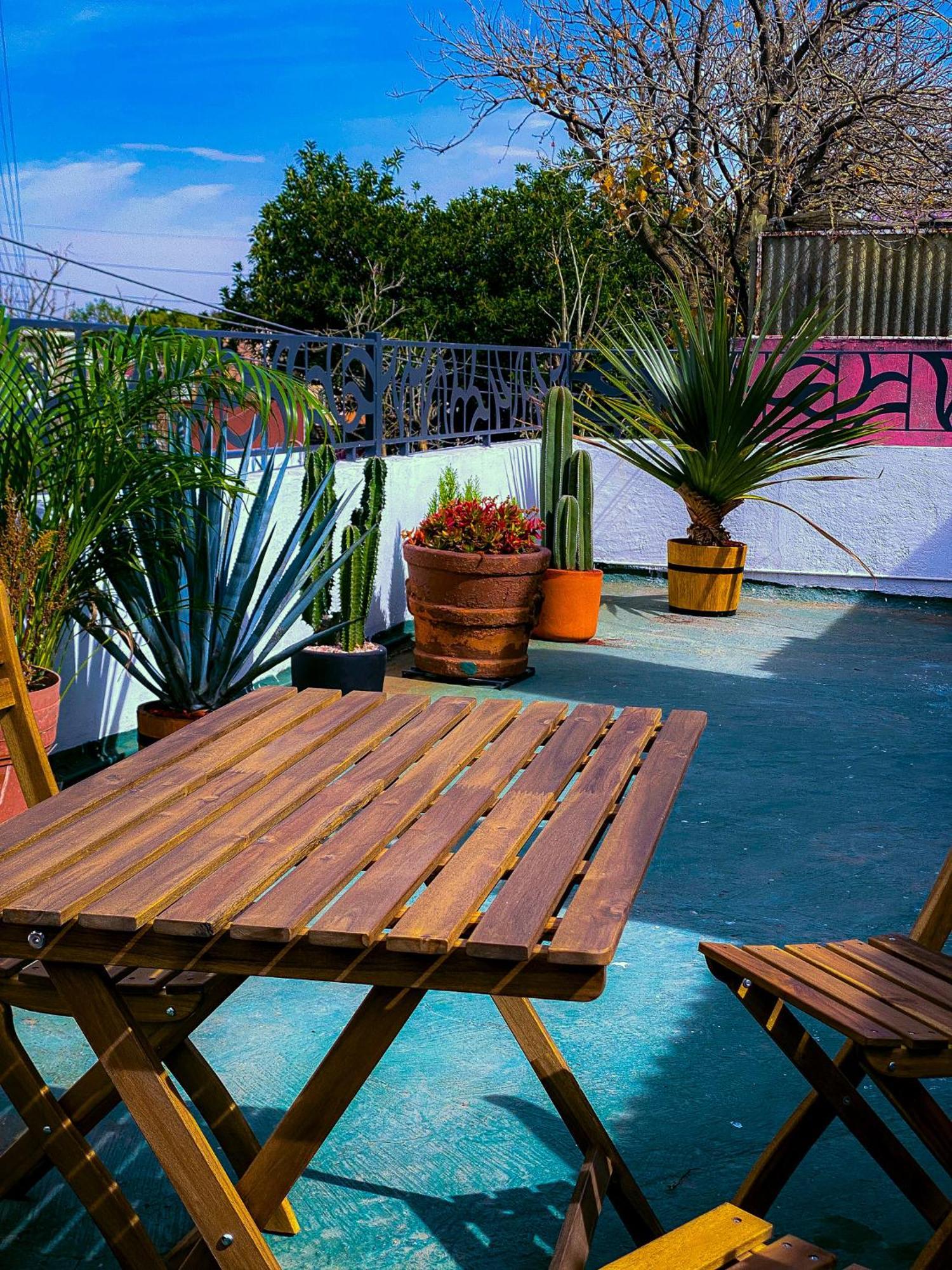 & Cozy With Rooftop View 1 Mexico City