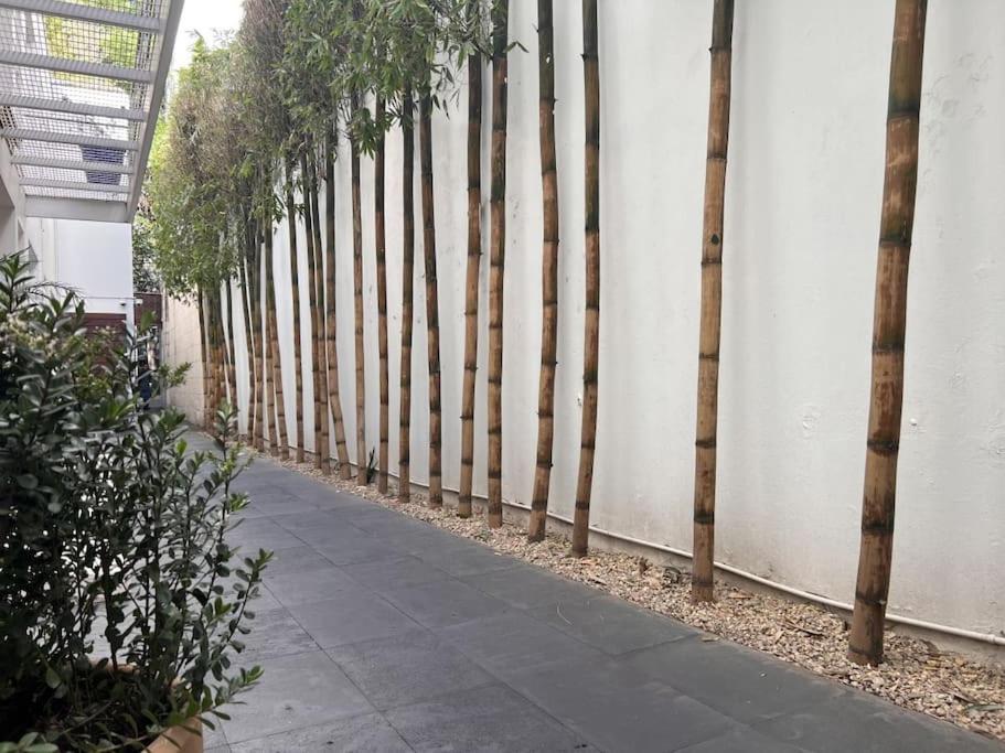 Condesa Amsterdam 301 Beautiful 1bed 1 Bath On Amsterdam Av Mexico City