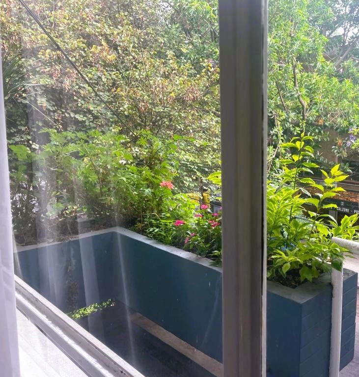 Habitacion En Condesa Morada Luna 3