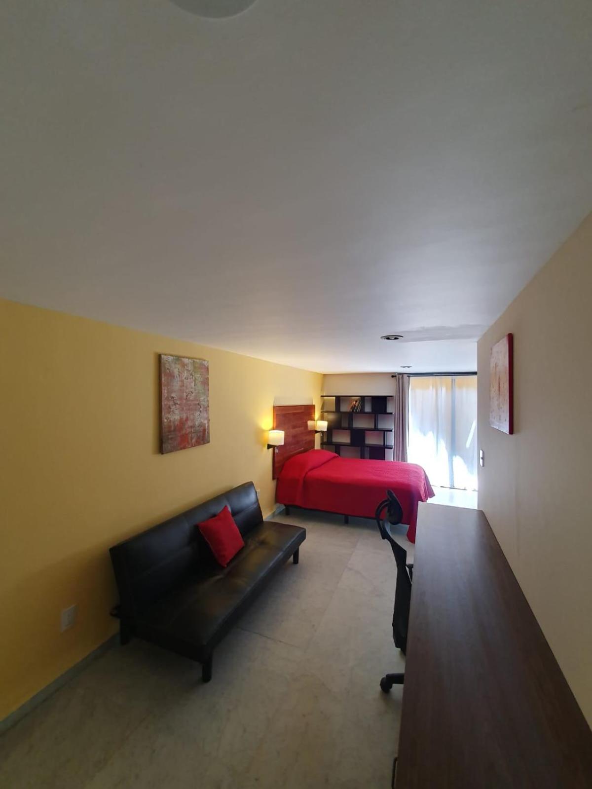 Terraza & Loft San Angel Homestay Mexico City