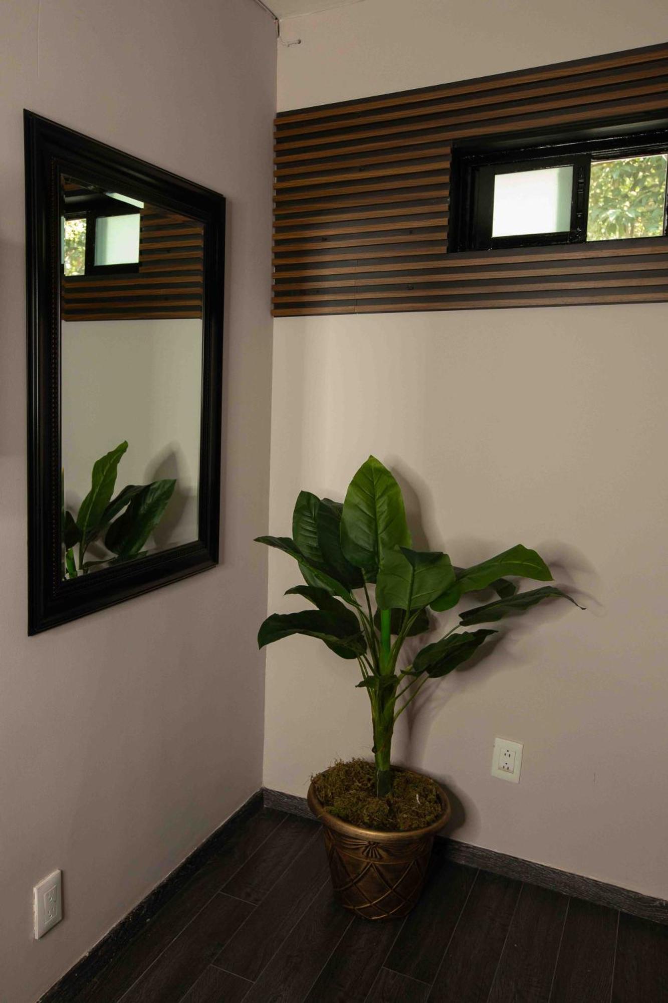 Morada Luna Polanco